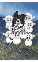 What Sheep