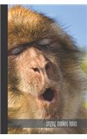 singing monkey notes
