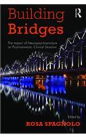 Building Bridges: The Impact of Neuropsychoanalysis on Psychoanalytic Clinical Sessions