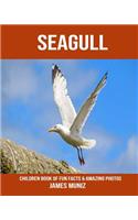Seagull: Children Book of Fun Facts & Amazing Photos