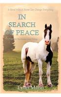 In Search Of Peace