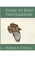 Guide to Photographing Birds