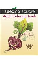 Seeding Square Adult Coloring Book