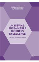 Achieving Sustainable Business Excellence