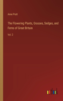 Flowering Plants, Grasses, Sedges, and Ferns of Great Britain