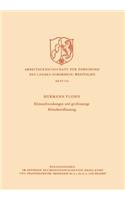 Klimaschwankungen und großräumige Klimabeeinflussung
