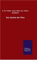 System der Pilze