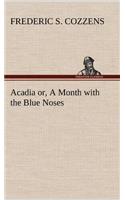 Acadia or, A Month with the Blue Noses