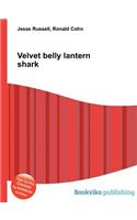 Velvet Belly Lantern Shark