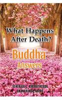 What Happens After Death-Buddha Answers