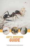 Ants breeding guide