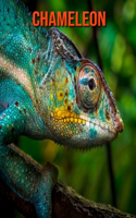 Chameleon