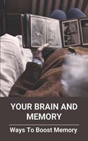 Your Brain And Memory