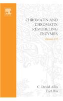 Chromatin and Chromatin Remodeling Enzymes