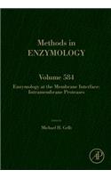 Enzymology at the Membrane Interface: Intramembrane Proteases