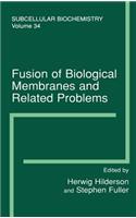 Fusion of Biological Membranes and Related Problems