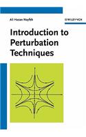 Introduction to Perturbation Techniques