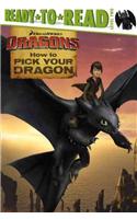 How to Pick Your Dragon