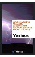Laws relating to primaries, caucuses and elections. [Chapter 835, Acts of 1913.]
