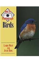 How to Photograph Birds