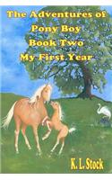 Adventures of Pony Boy Book Two