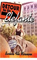 DETOUR Su Un Elefante