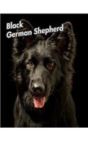 Black German Shepherd: 2020 Weekly Calendar 12 Months 107 pages 8.5 x 11 in. Planner Diary Organizer Agenda Appointment Half Spread Wide Ruled Pages