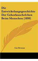 Entwickelungsgeschichte Der Gehorknochelchen Beim Menschen (1899)