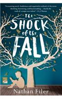 The Shock of the Fall