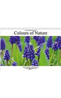 Colours of Nature 2017