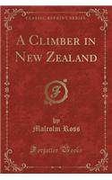 A Climber in New Zealand (Classic Reprint): (English)