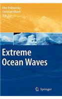 Extreme Ocean Waves