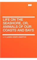 Life on the Seashore, Or, Animals of Our Coasts and Bays: (English)