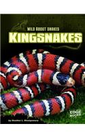 Kingsnakes: (Wild about Snakes)