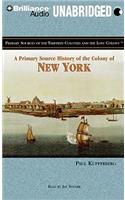 A Primary Source History of the Colony of New York: Library Edition(Primary Sources of the Thirteen Colonies)
