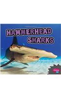 Hammerhead Sharks