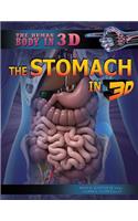 The Stomach in 3D