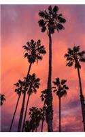 Palm Trees Silhouetted Against A Sunset Journal: 150 Page Lined Notebook/Diarty