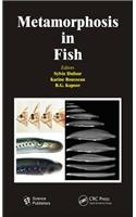Metamorphosis in Fish