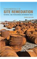 Fundamentals of Site Remediation