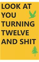 Look at You Turning Twelve and Shit Notebook Birthday Gift: Lined Notebook/ Journal Gifts,120 pages, 6×9, Soft Cover, Matte Finish