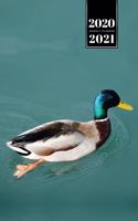 Duck Geese Goose Mallard Duckling Week Planner Weekly Organizer Calendar 2020 / 2021 - Gliding over Water