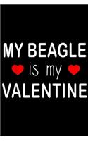 My Beagle Is My Valentine