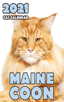 Maine Coon 2021 Cat Calendar