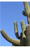 Cactus: 150 Lined/Ruled Journal Pages Planner Diary Notebook with Cactus in the Desert on the Cover