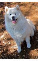 Samoyed Dog Lined Journal