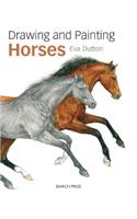 Drawing and Painting Horses