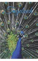 Tagebuch: Tagebuch Für Mädchen Frauen Einschreibbuch Terminplaner Jahrbuch Achtsamkeit Fürsorge Partnerschaft Freundschaft Liebe Romantik Liebeskummer Wut Tra