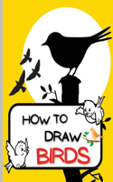 How To Draw Birds