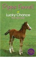 Tilly's Pony Tails: Lucky Chance the New Foal